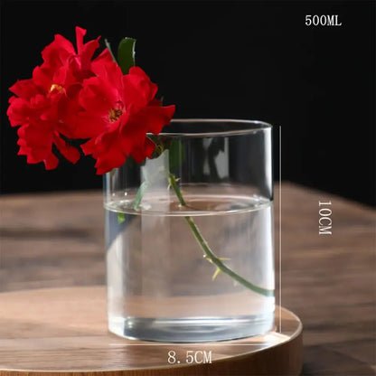 Glass Hydroponic Desktop Planter Vase