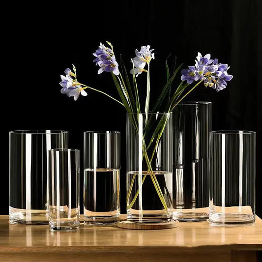Glass Hydroponic Desktop Planter Vase