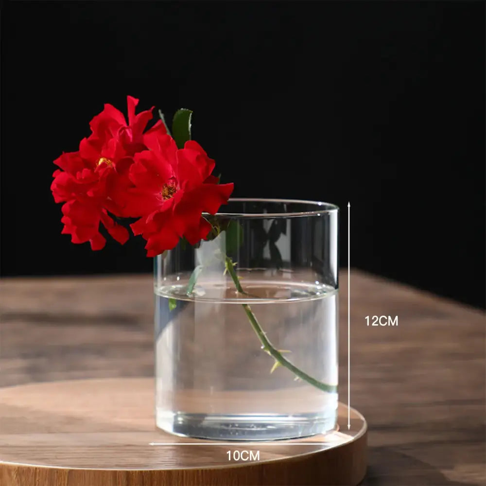 Glass Hydroponic Desktop Planter Vase