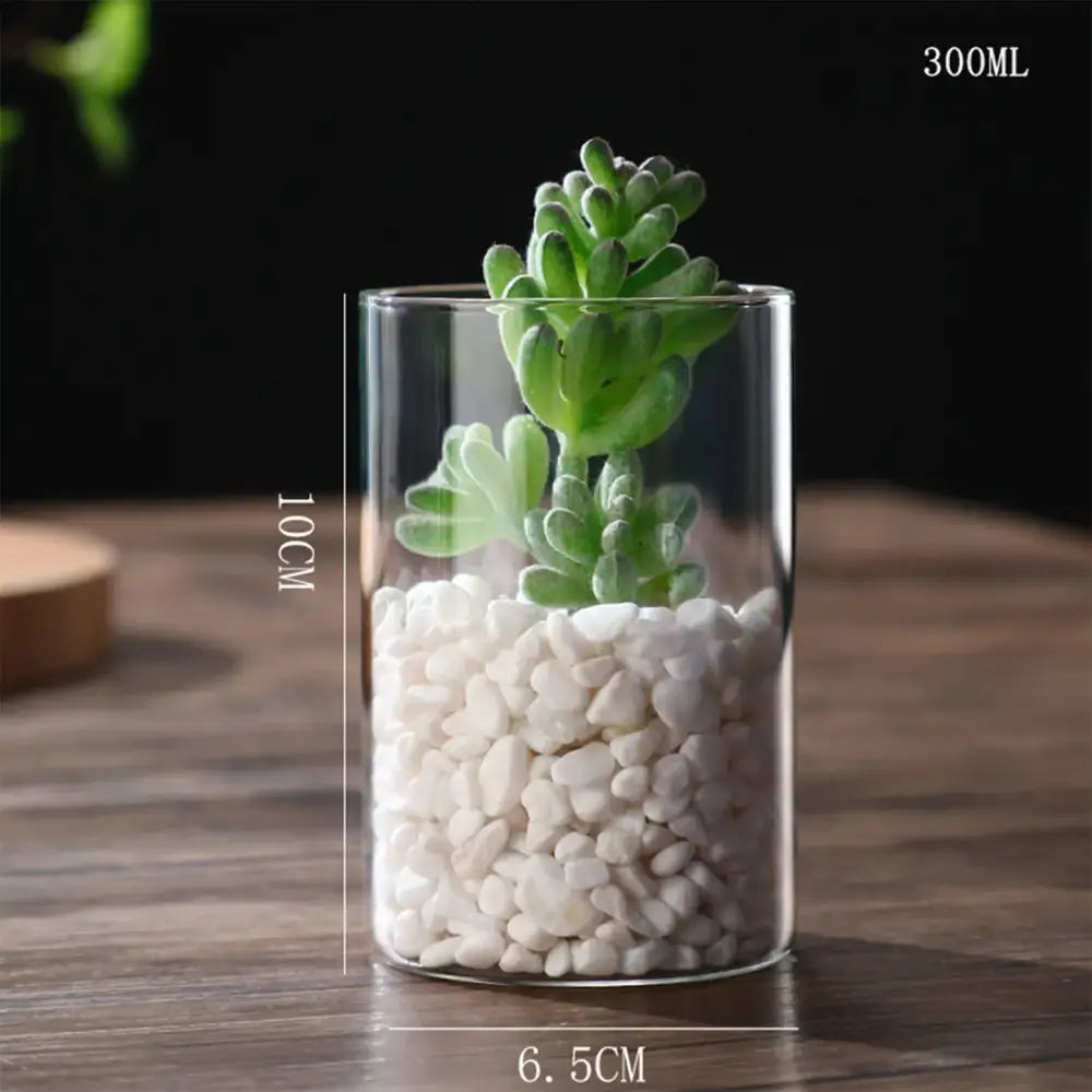 Glass Hydroponic Desktop Planter Vase