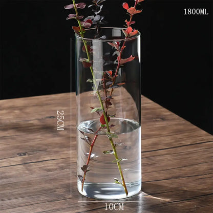 Glass Hydroponic Desktop Planter Vase