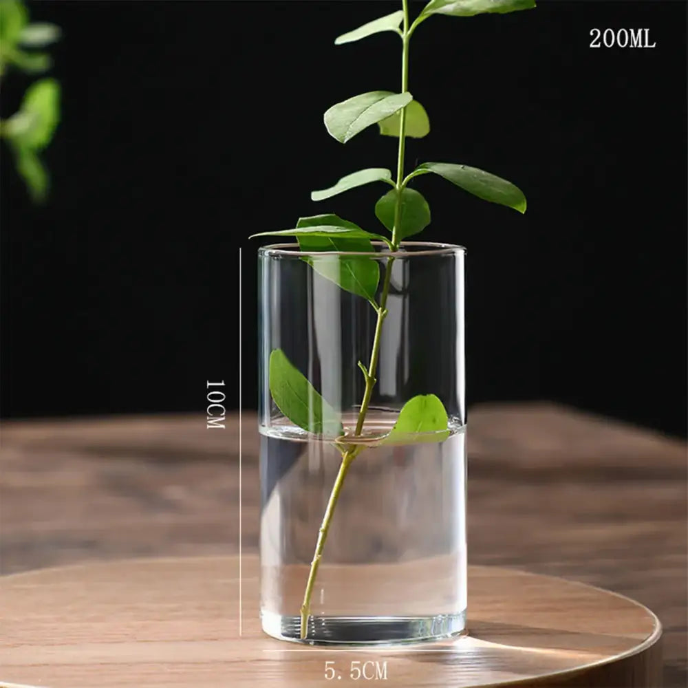 Glass Hydroponic Desktop Planter Vase