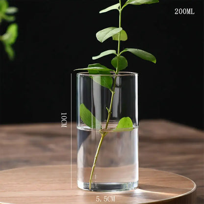 Glass Hydroponic Desktop Planter Vase