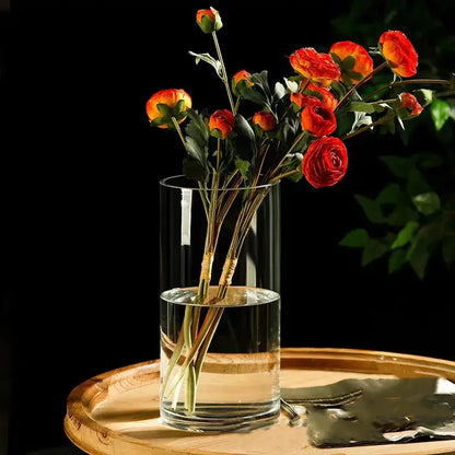 Glass Hydroponic Desktop Planter Vase