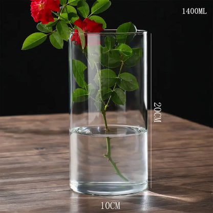 Glass Hydroponic Desktop Planter Vase
