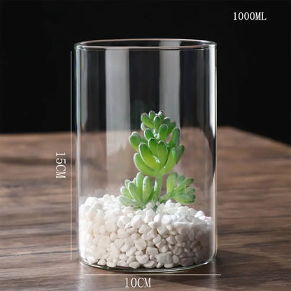 Glass Hydroponic Desktop Planter Vase