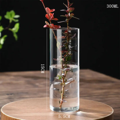 Glass Hydroponic Desktop Planter Vase