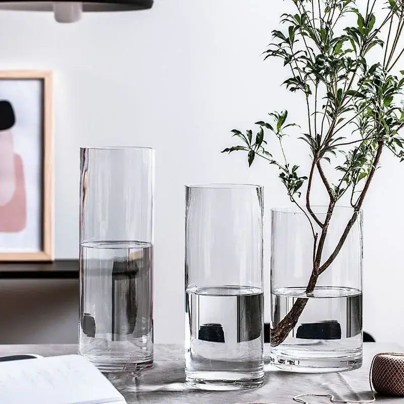 Glass Hydroponic Desktop Planter Vase