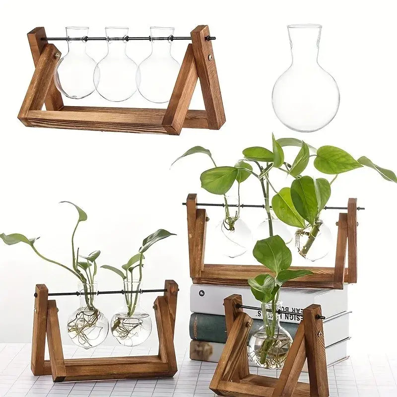 Glass Planter Propagation Station with Wooden Rack