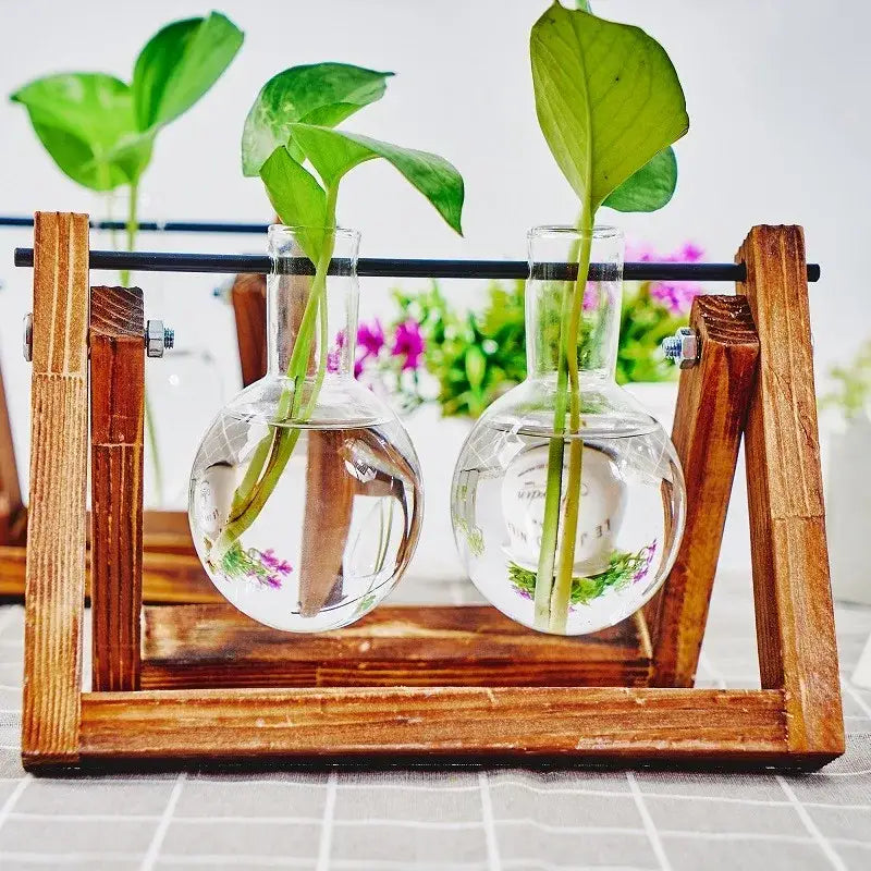 Glass Planter Propagation Station with Wooden Rack