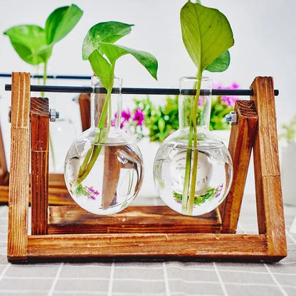Glass Planter Propagation Station with Wooden Rack