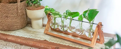 Glass Planter Propagation Station with Wooden Rack