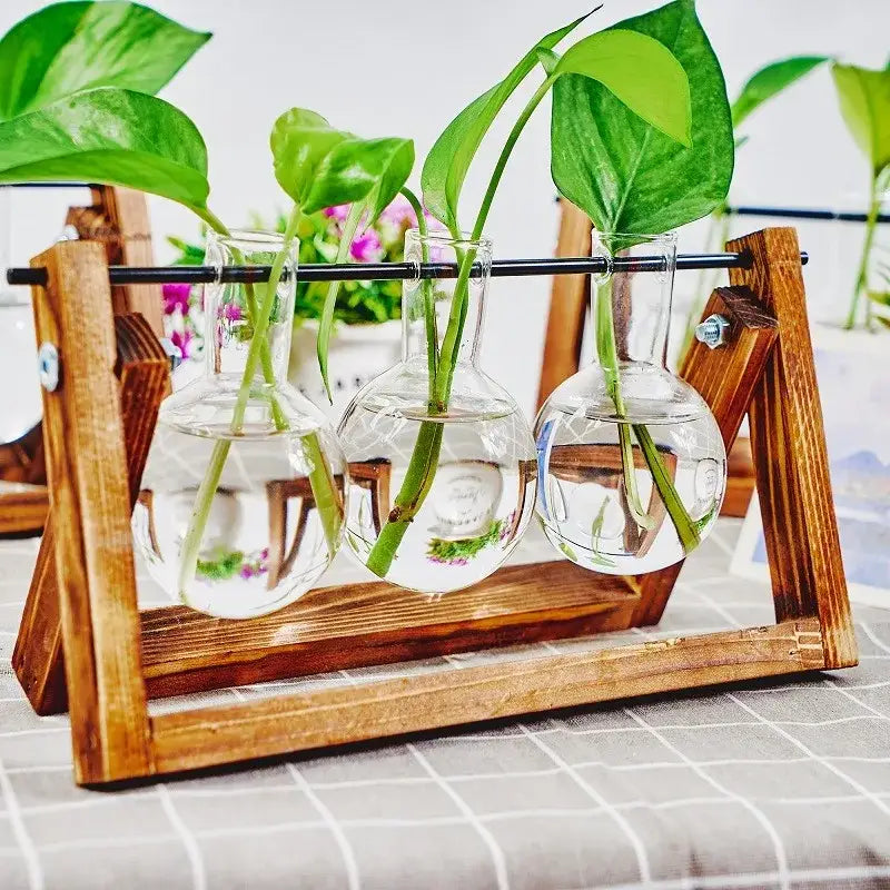 Glass Planter Propagation Station with Wooden Rack