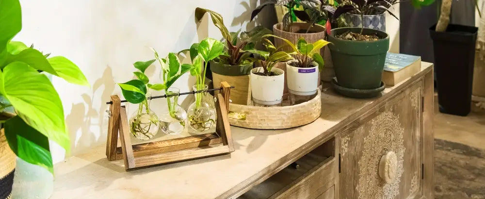 Glass Planter Propagation Station with Wooden Rack