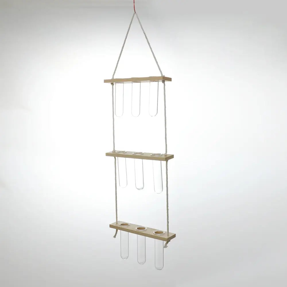 Glass Wall Hanging Planters with Wooden Holder