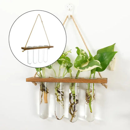 Glass Wall Hanging Planters with Wooden Holder