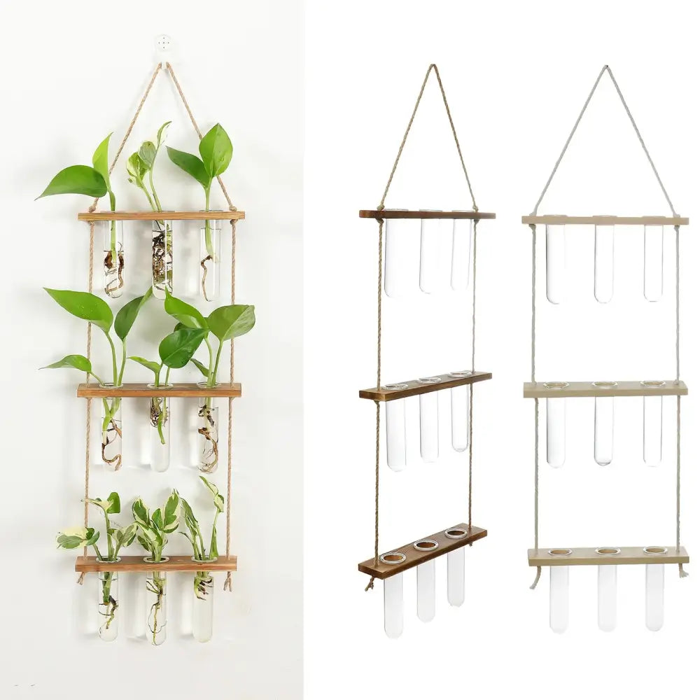 Glass Wall Hanging Planters with Wooden Holder