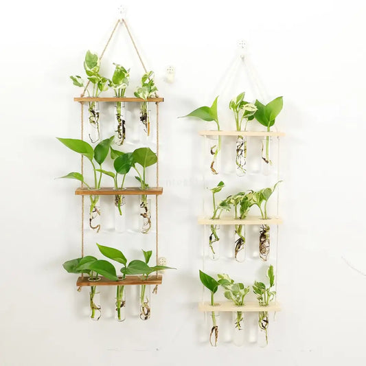 Jardineras Colgantes de Cristal con Soporte de Madera