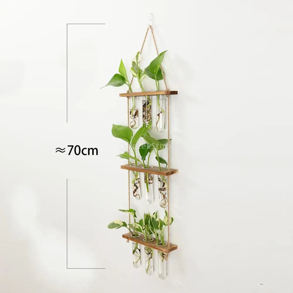 Glass Wall Hanging Planters with Wooden Holder