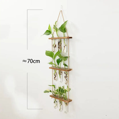 Glass Wall Hanging Planters with Wooden Holder