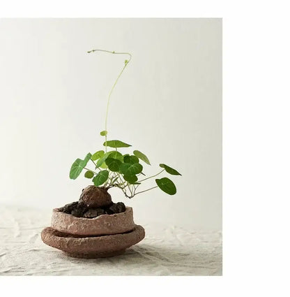 Rustic Terracotta Ceramic Vase and Floral Display