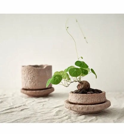 Rustic Terracotta Ceramic Vase and Floral Display