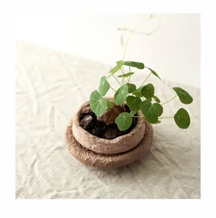 Rustic Terracotta Ceramic Vase and Floral Display