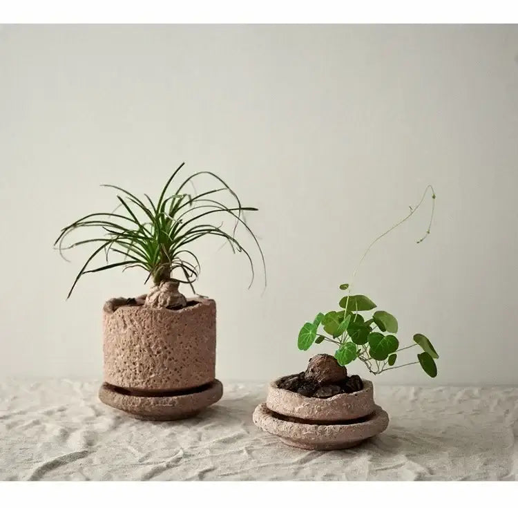 Rustic Terracotta Ceramic Vase and Floral Display