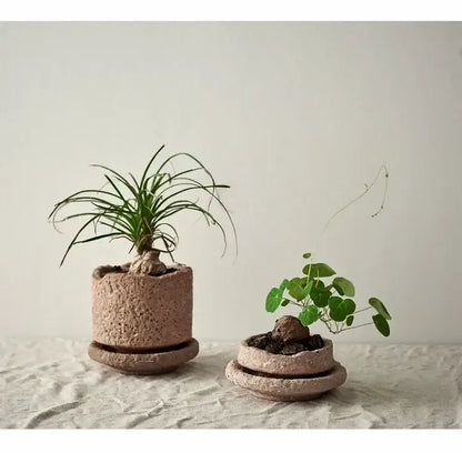 Rustic Terracotta Ceramic Vase and Floral Display