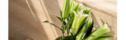 Silver stainless steel vase with green lily stems and foliage Decorbites on Tampa Home & Garden Store