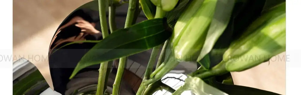 Silver stainless steel vase with a mirror finish reflecting green plant leaves on Tampa Home & Garden Store