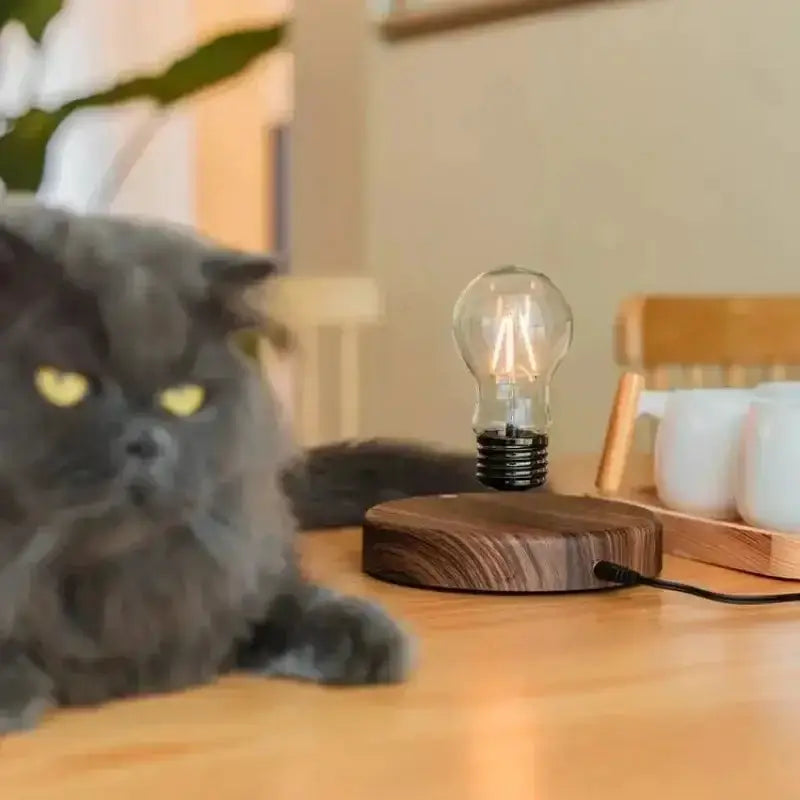 Vintage Wood Magnetic Levitation Lamp for Bedroom