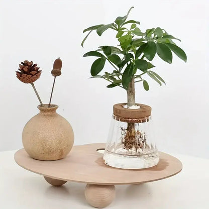 Mini Nordic Glass Hydroponic Planter Tray