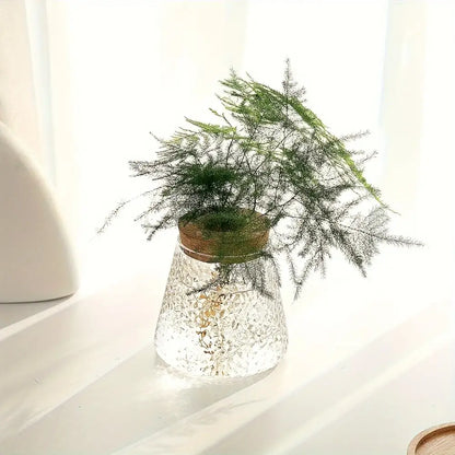 Mini Nordic Glass Hydroponic Planter Tray