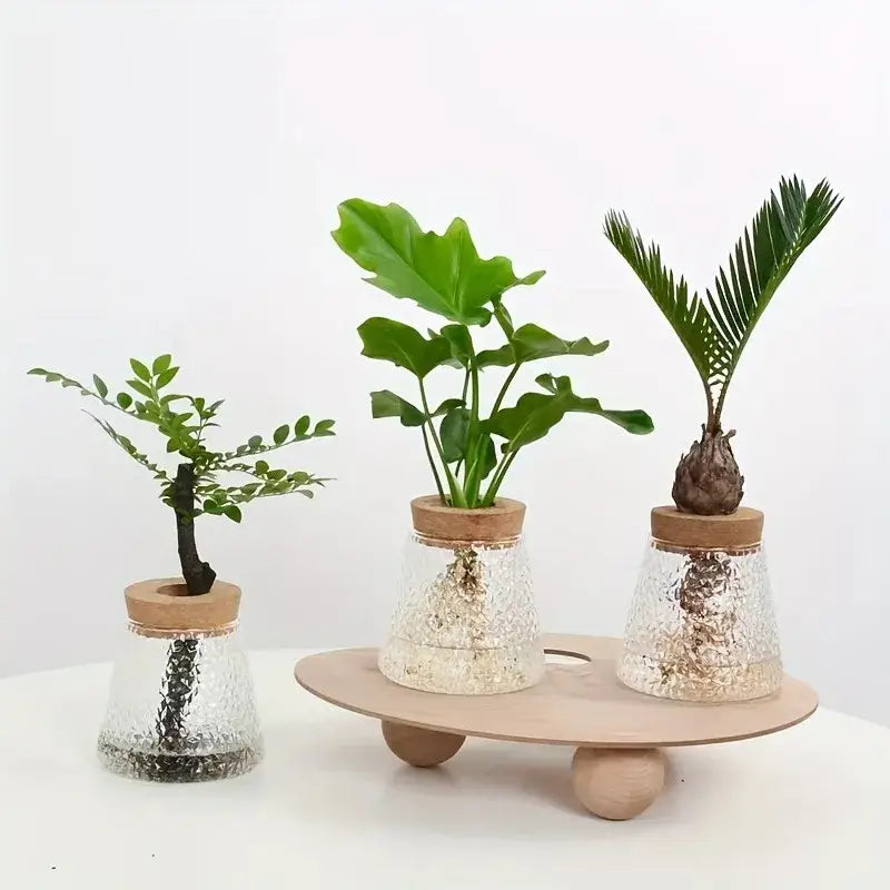 Mini Nordic Glass Hydroponic Planter Tray