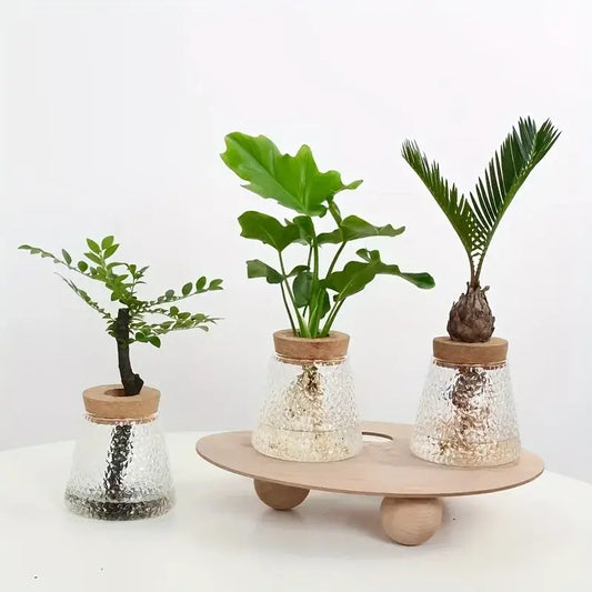Bandeja Mini Nórdica de Cristal para Plantas Hidropónicas