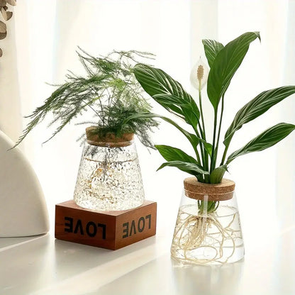 Mini Nordic Glass Hydroponic Planter Tray