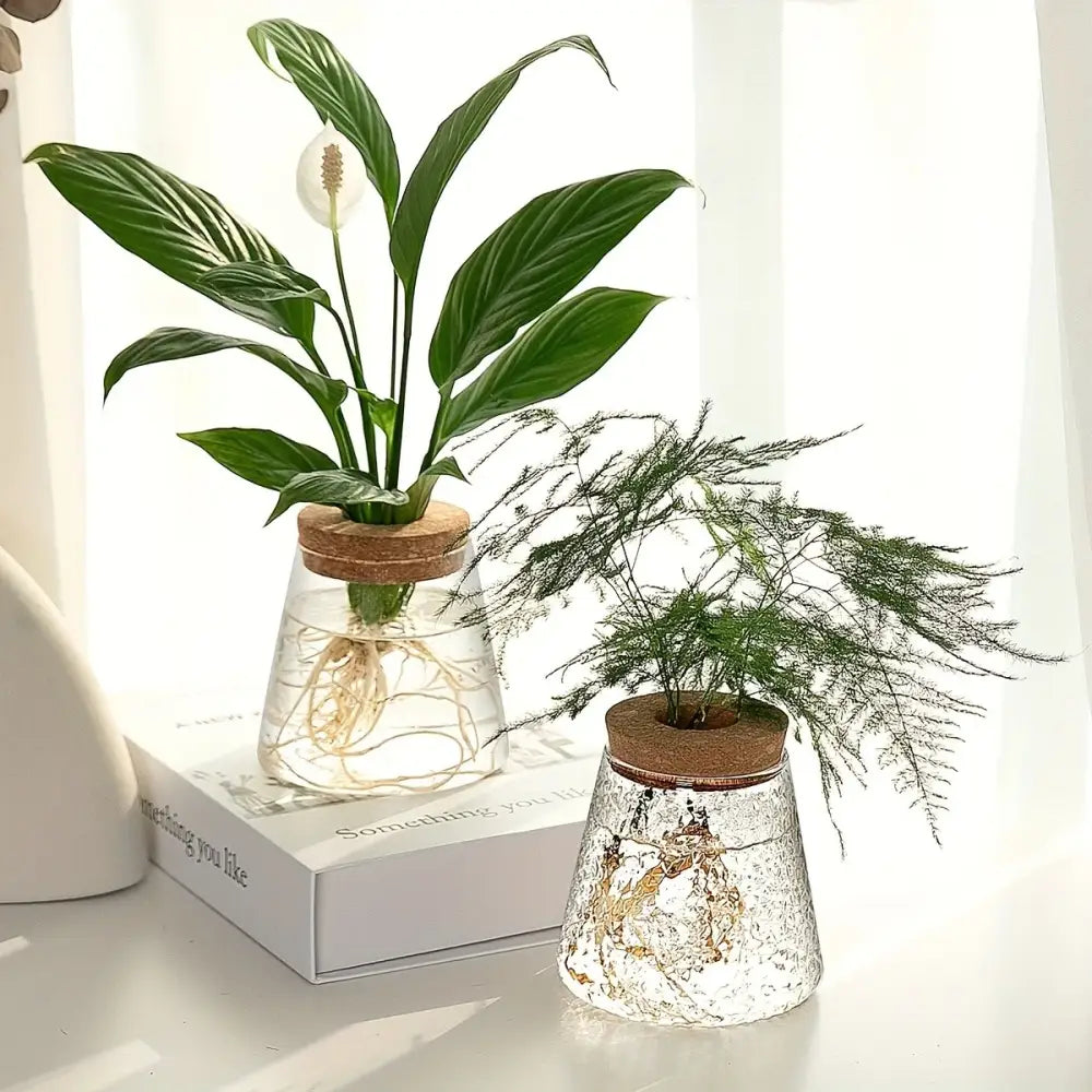 Mini Nordic Glass Hydroponic Planter Tray