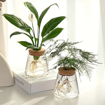 Mini Nordic Glass Hydroponic Planter Tray