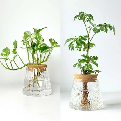 Mini Nordic Glass Hydroponic Planter Tray