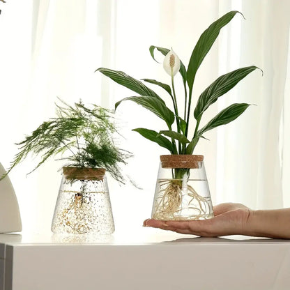 Mini Nordic Glass Hydroponic Planter Tray