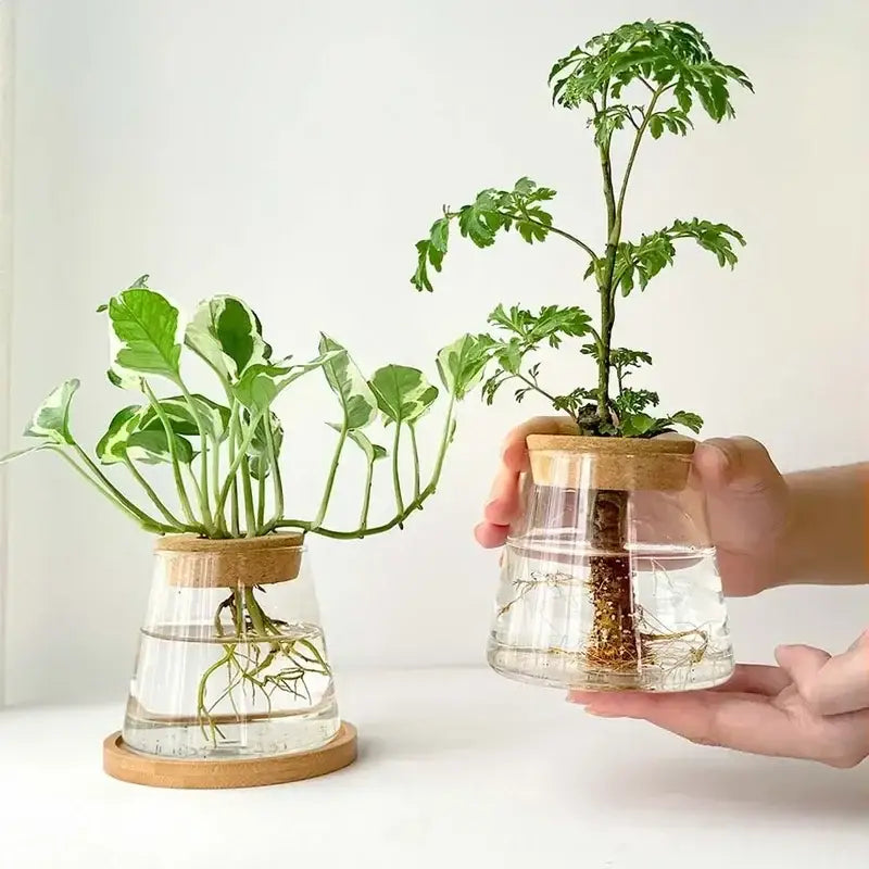 Mini Nordic Glass Hydroponic Planter Tray