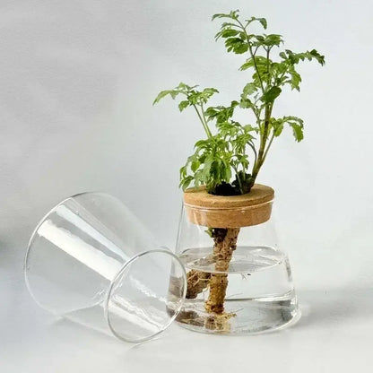 Mini Nordic Glass Hydroponic Planter Tray
