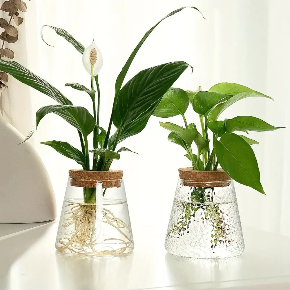 Mini Nordic Glass Hydroponic Planter Tray