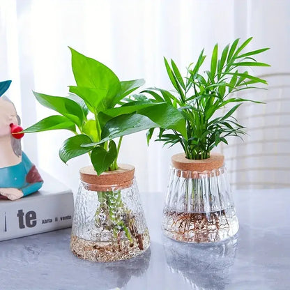 Mini Nordic Glass Hydroponic Planter Tray