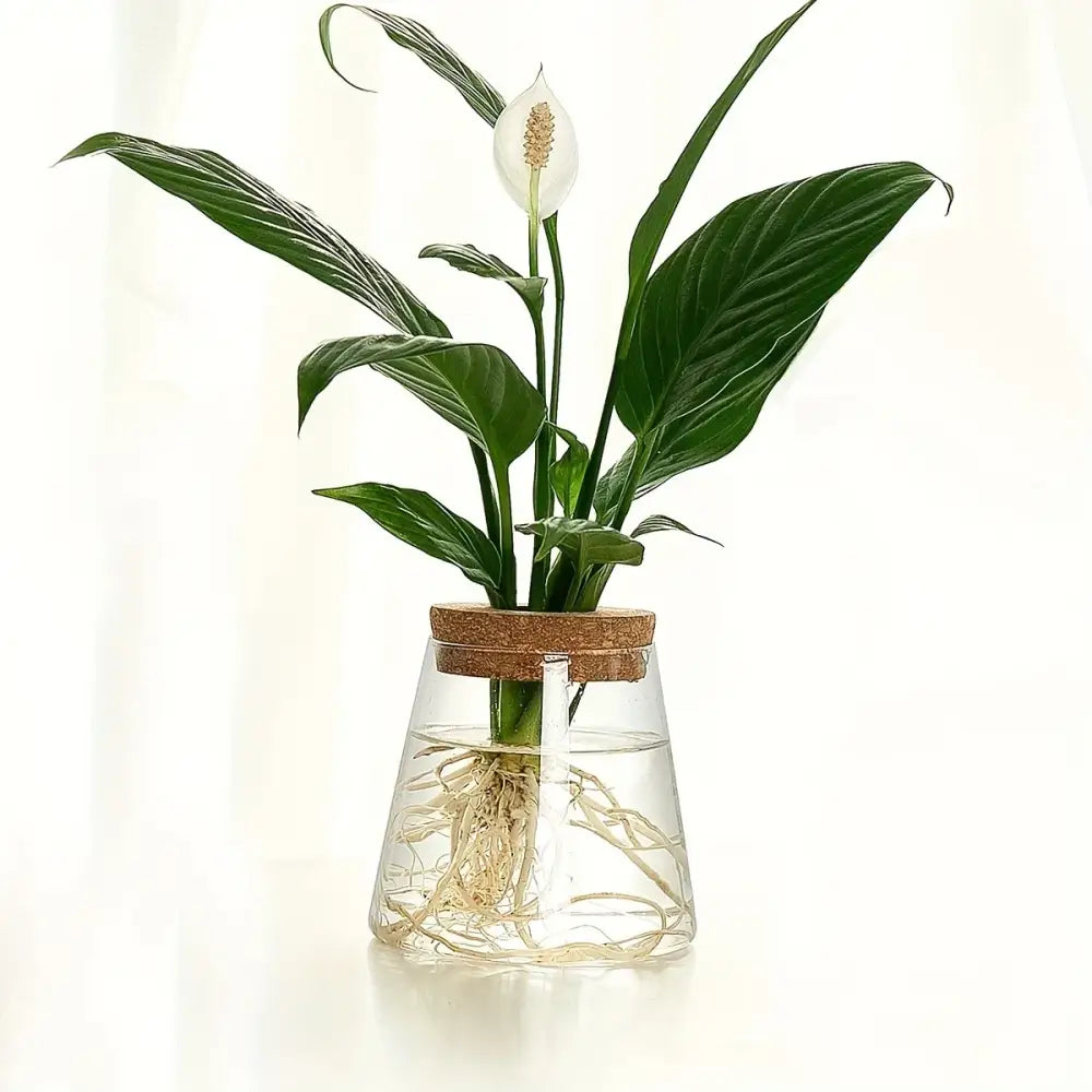 Mini Nordic Glass Hydroponic Planter Tray
