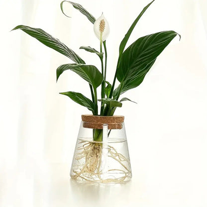 Mini Nordic Glass Hydroponic Planter Tray