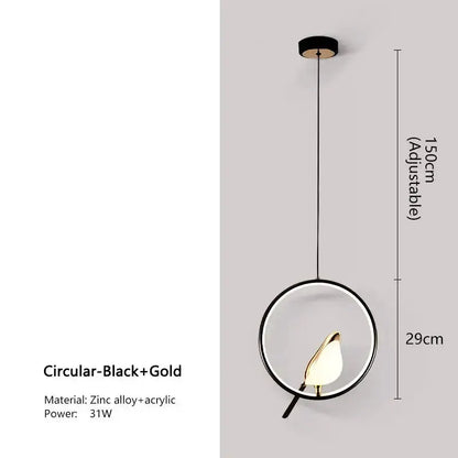 Modern gold magpie LED pendant light Decorbites with circular black and gold frame on Tampa Home & Garden Store