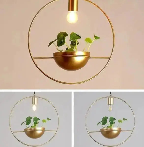 Modern nordic gold planter light pendant by Decorbites with ring frame and potted plant on Tampa Home & Garden Store