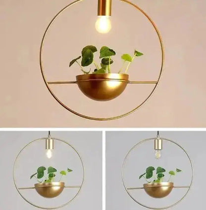 Modern nordic gold planter light pendant by Decorbites with ring frame and potted plant on Tampa Home & Garden Store